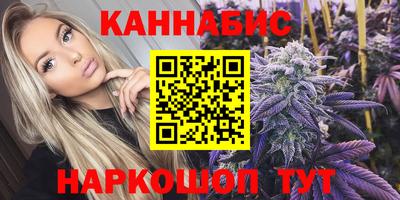стаф Новозыбков