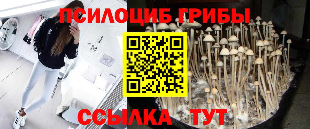 Псилоцибиновые грибы мицелий Усолье-Сибирское