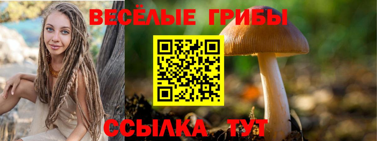 Усолье-Сибирское  Галлюциногенные грибы MAGIC MUSHROOMS  Вход с VPN 